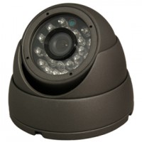 1/3" High Resolution CCD eyeball dome camera with 3.6mm Fixed Lens