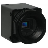VGA (640x480), 1/3" B/W, 240fps, full triggering, variable partial scan, Camera Link output, w/ Kodak sensor