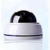 High Res. (650 TVL) WDR Day/Night Weatherproof Mini-Dome Camera